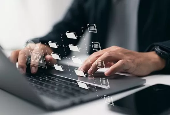 Dealer Network Management